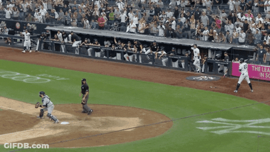 New York Yankees Win GIF