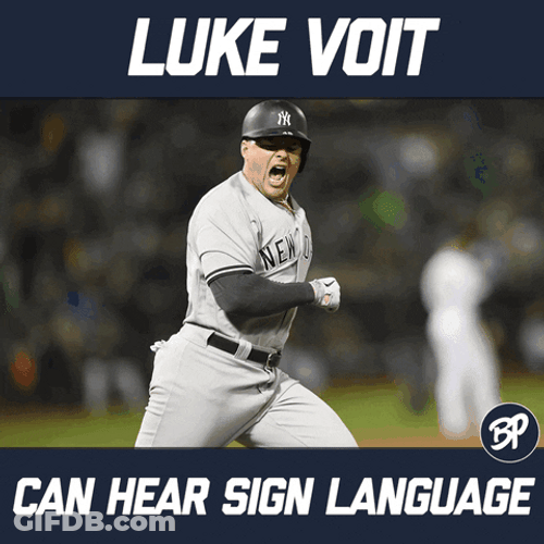 New York Yankees Win Luke Voit GIF