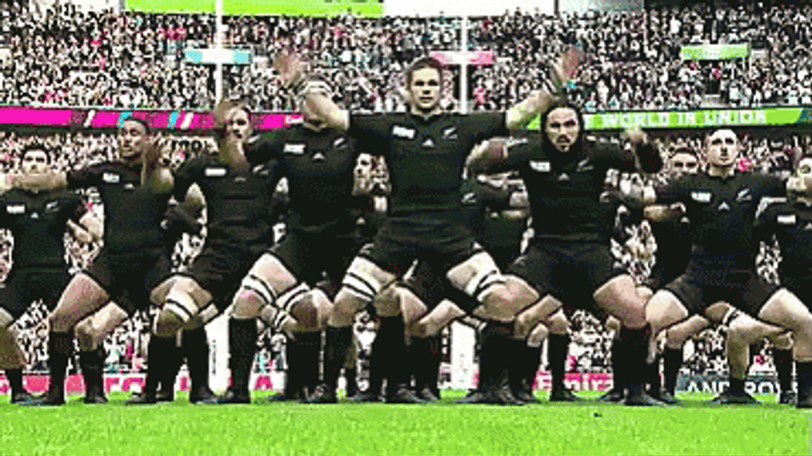 New Zealand All Black Rugby Team GIF