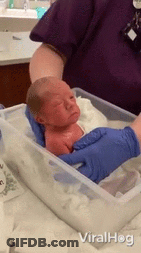 Newborn Baby Held By Nurse GIF