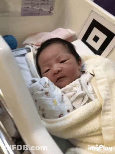 Newborn Baby Wrapped In Blanket Looking At Camera GIF