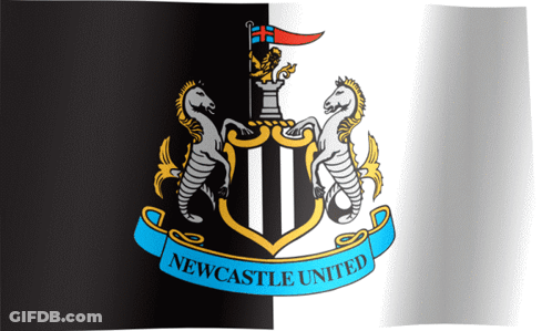 Newcastle United Flag GIF
