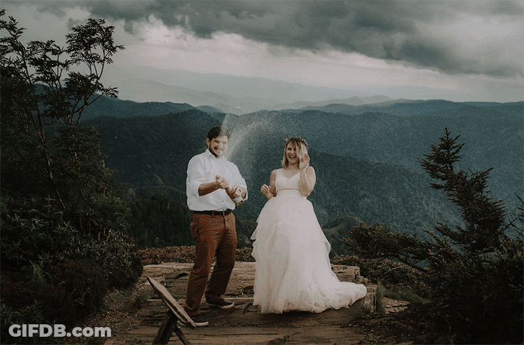 Newly Wed Champagne Popping GIF