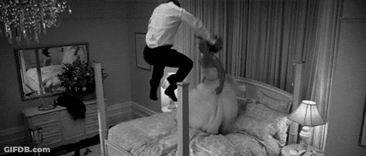 Newly Wed Enjoying First Nigh Romance GIF