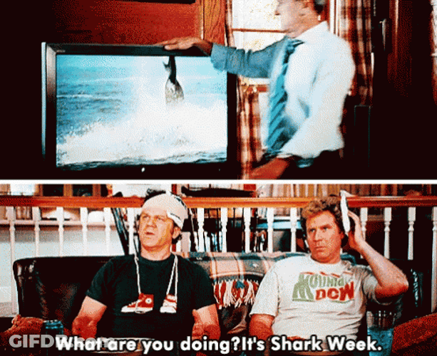 News On Shark Week GIF