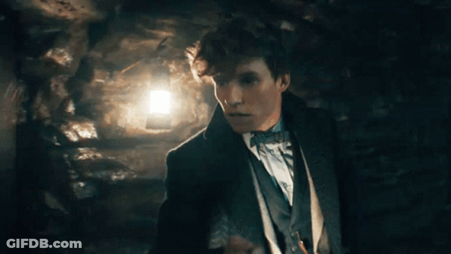 Newt Scamander Amazed GIF
