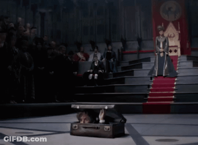 Newt Scamander Coming Out Suitcase GIF