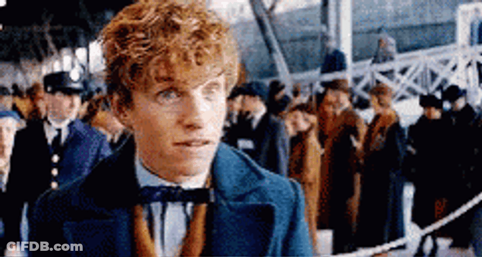 Newt Scamander Disagree GIF