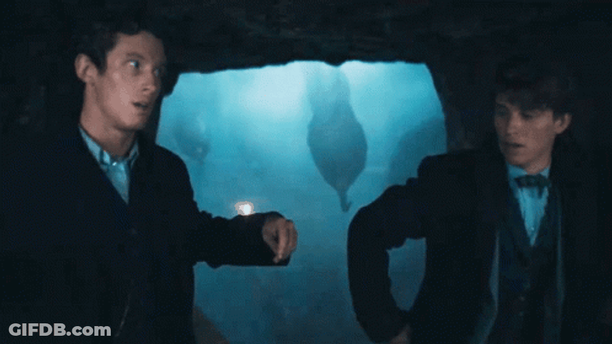Newt Scamander Dodging Octopus Tentacles GIF