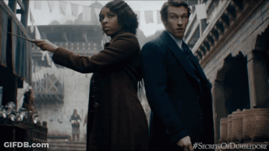 Newt Scamander Duel GIF