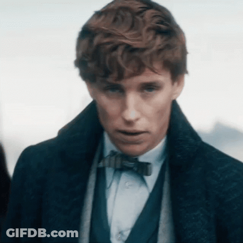 Newt Scamander Getting Arrested GIF