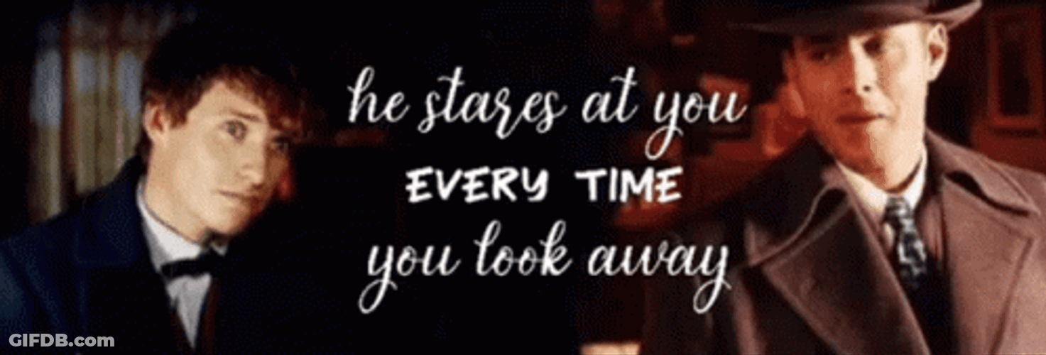 Newt Scamander He Stares At You Every Time GIF