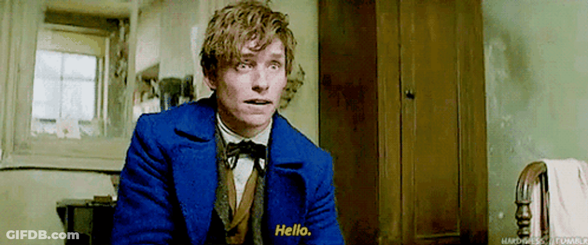 Newt Scamander Hello GIF