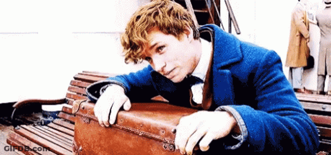Newt Scamander Holding Suitcase GIF