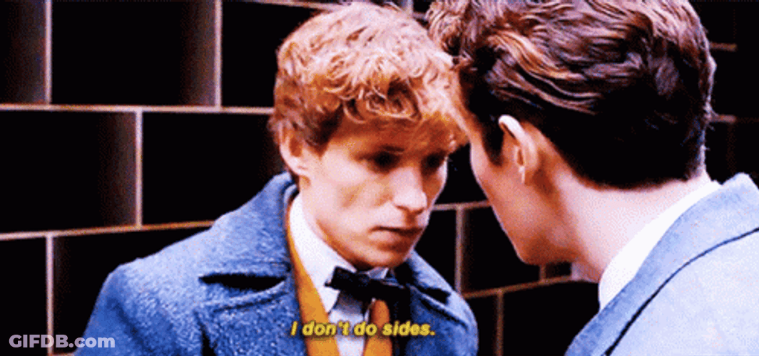 Newt Scamander I Dont Do Sides GIF