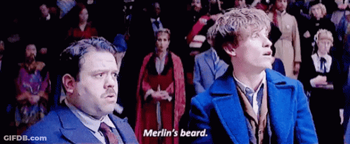 Newt Scamander Merlin's Beard GIF