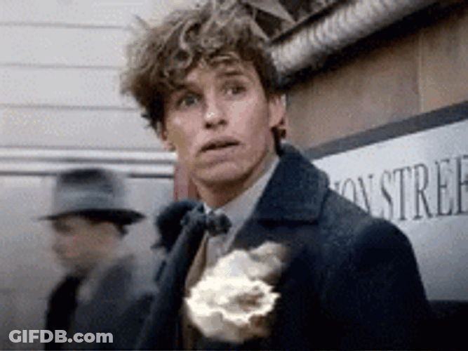 Newt Scamander Name Animation GIF