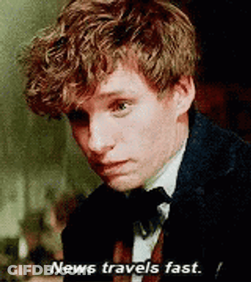 Newt Scamander News Travels Fast GIF