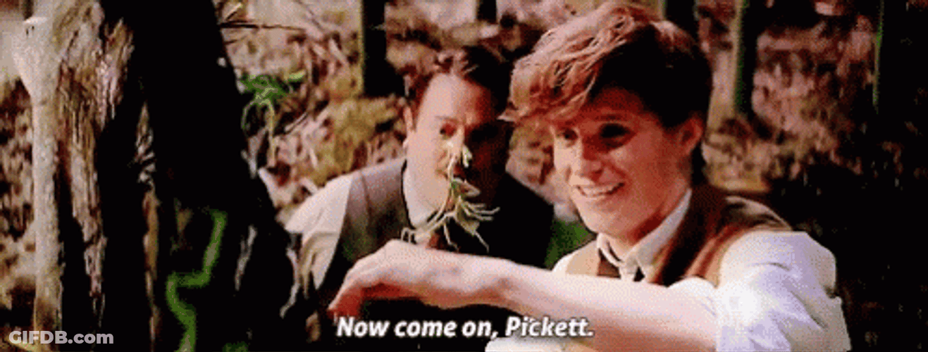 Newt Scamander Now Come On Pickett GIF