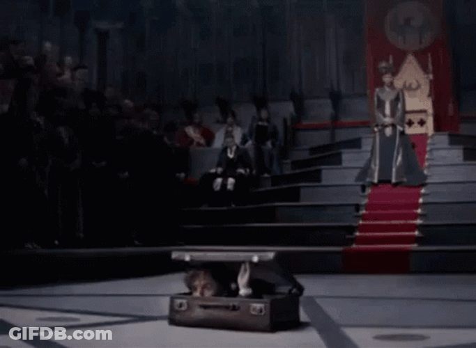 Newt Scamander Out The Suitcase Hello GIF