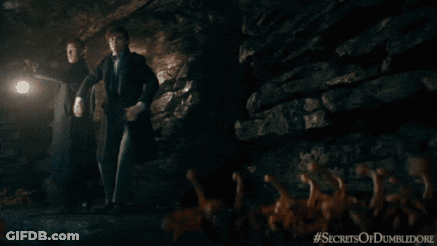 Newt Scamander Pretending To Be Crab GIF