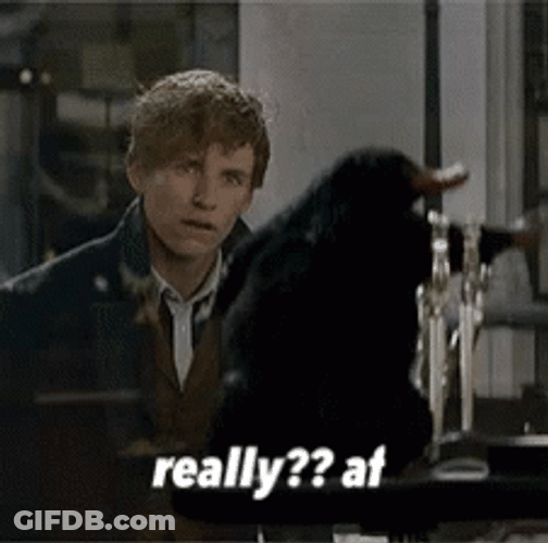 Newt Scamander Really Af GIF