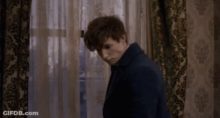 Newt Scamander Staring GIF