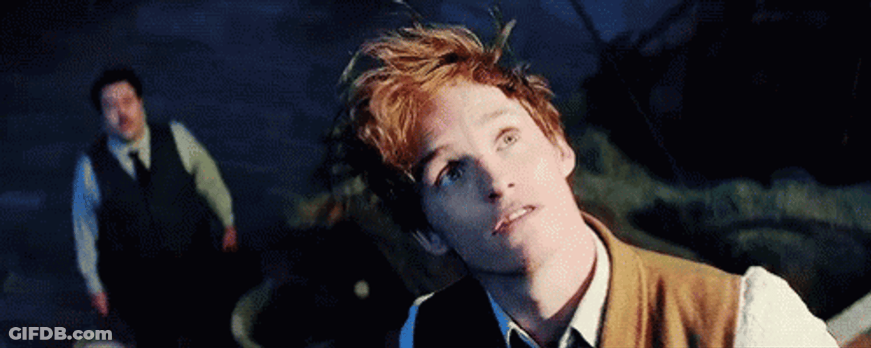 Newt Scamander Staring Upward GIF