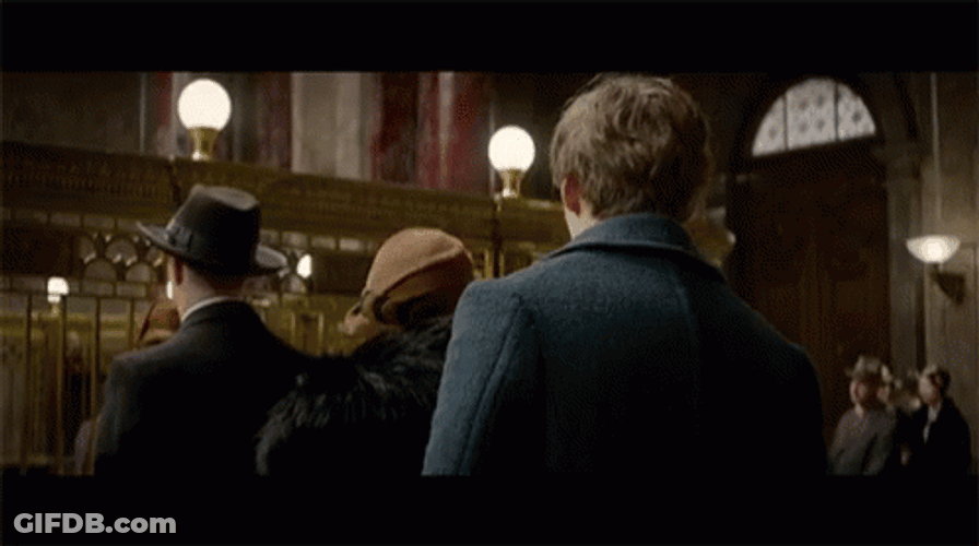 Newt Scamander Turning Around GIF