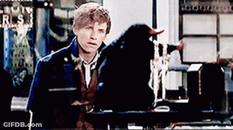 Newt Scamander With Teddy Niffer GIF