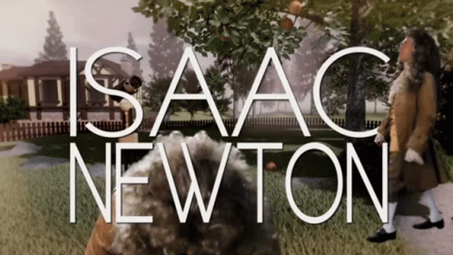 Newtons First Law Funny Silly Face Parody GIF