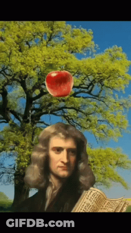 Newtons First Law Of Inertia Apple Falling GIF