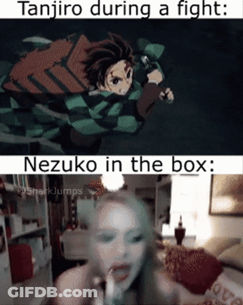 Nezuko Fighting In The Box GIF