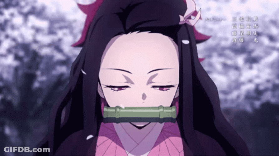 Nezuko Fighting Tanijiro Kamado Anime GIF