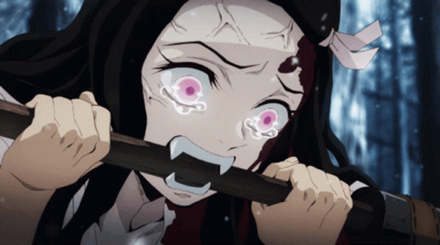 Nezuko Kamado Fighting But With Tears GIF