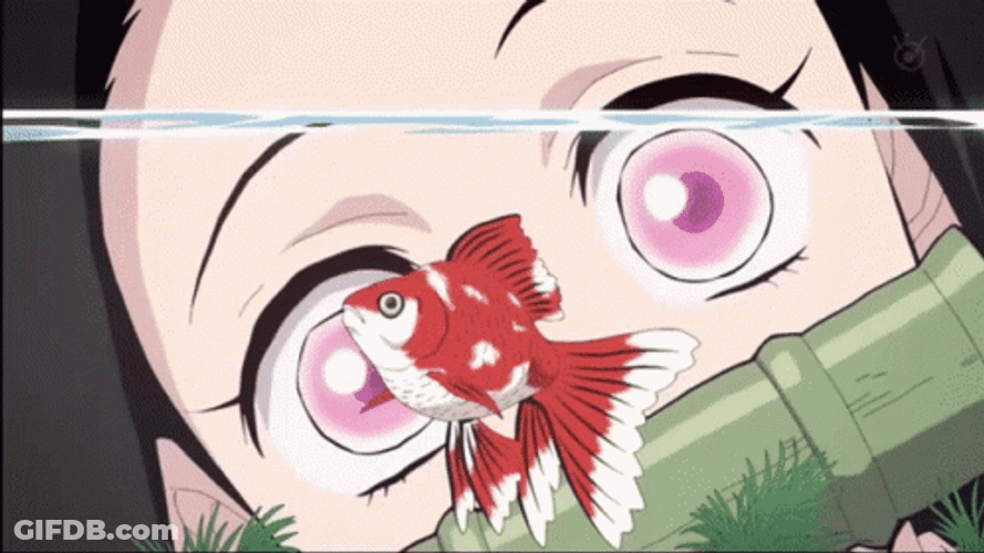 Nezuko Kamado Goldfish Scene GIF