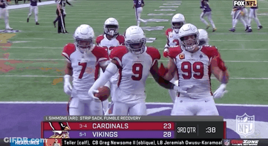NFL Arizona Cardinals Dance GIF