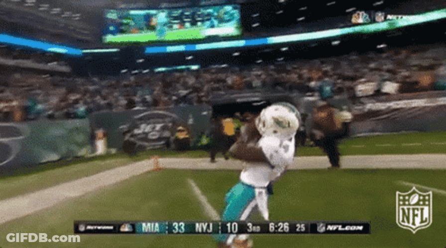 Nfl Dolphins Celebration GIF