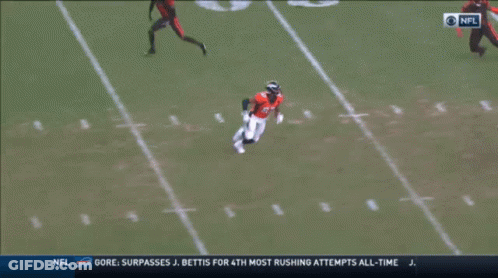 NFL Football Game GIF