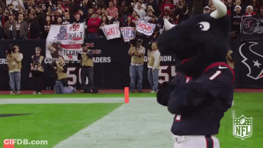 NFL Houston Texans Mascot Head Nod GIF