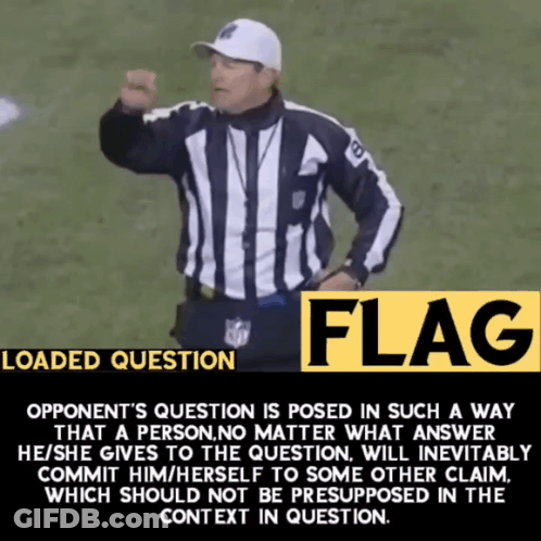 NFL Referee Standing With Flag Sign GIF