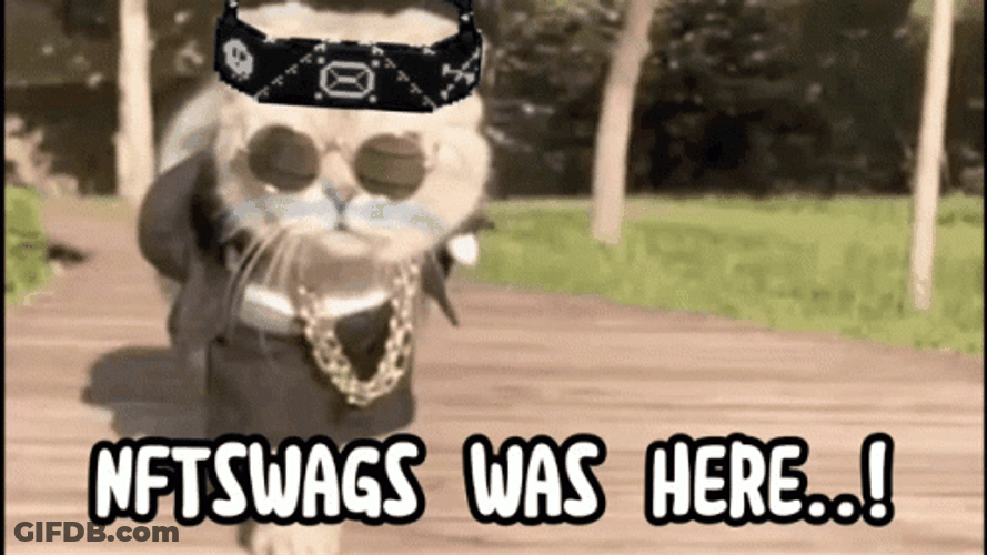 Nft Swags Cat GIF
