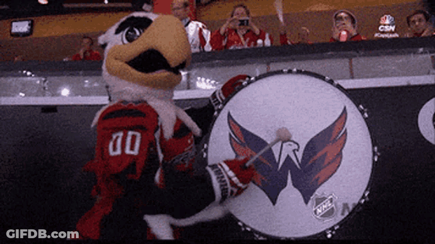 Nhl Mascot GIF