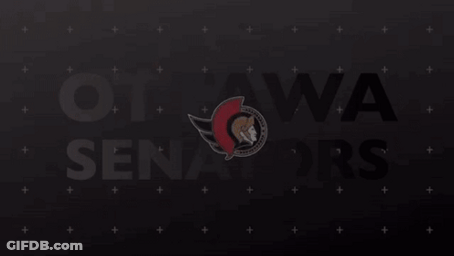 NHL Ottawa Senators Goal GIF