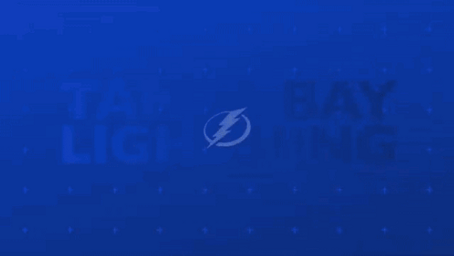 NHL Tampa Bay Lightning Goal GIF