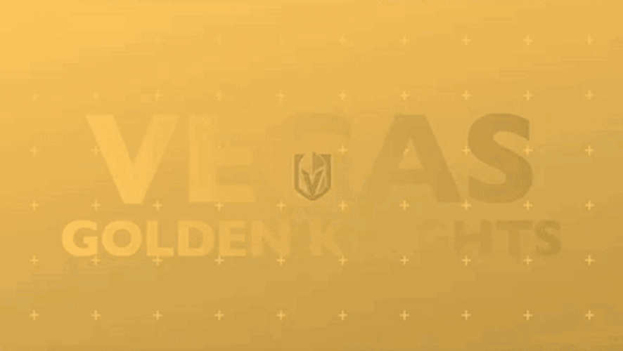 NHL Vegas Golden Knights Goal GIF