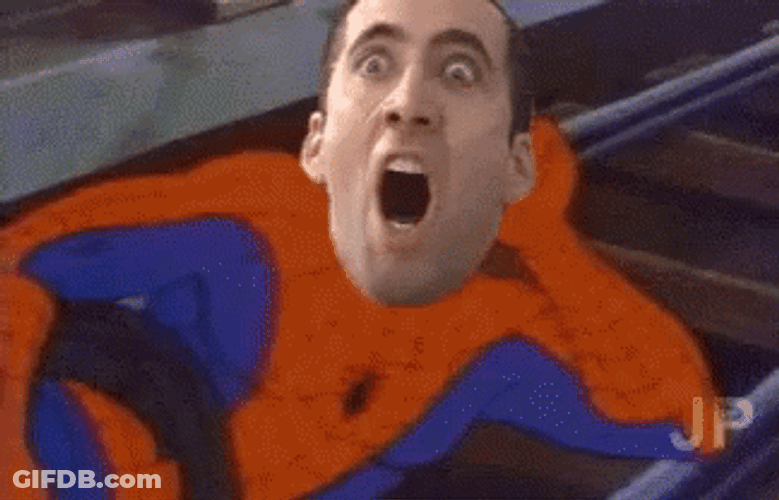 Nic Cage Spider Man Meme GIF