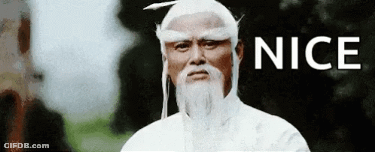 Nice Bak Mei Kung Fu GIF