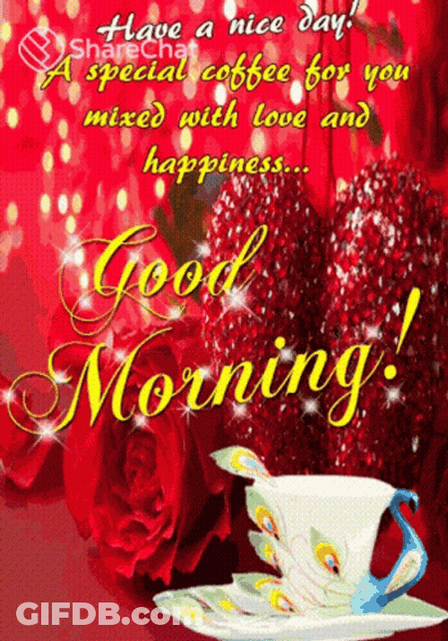 Nice Day Special Good Morning GIF