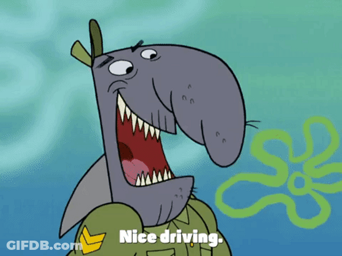 Nice Driving Parallel Parking Sergeant Sam Roderick GIF